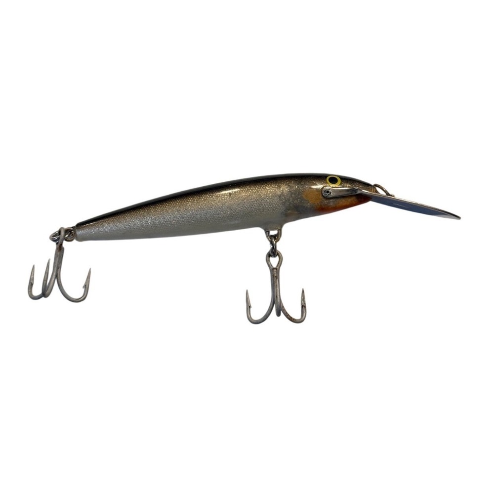 Rapala Deep Tail Dancer 5.5 Inch Trolling Lure Silver Black Back Crankbait